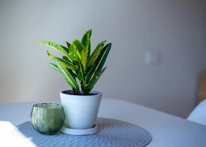 Namai Дом отдыха Паланга